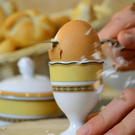 Der Schmittenhof Hotel