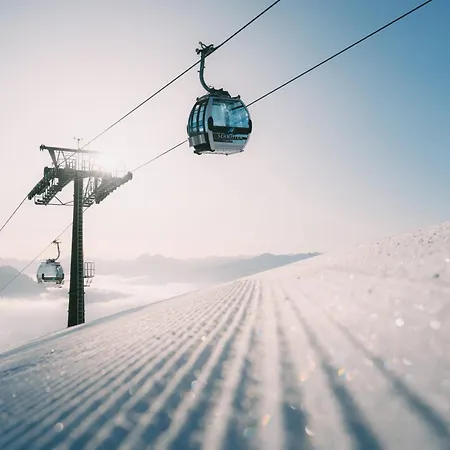 Hotel Der Schmittenhof