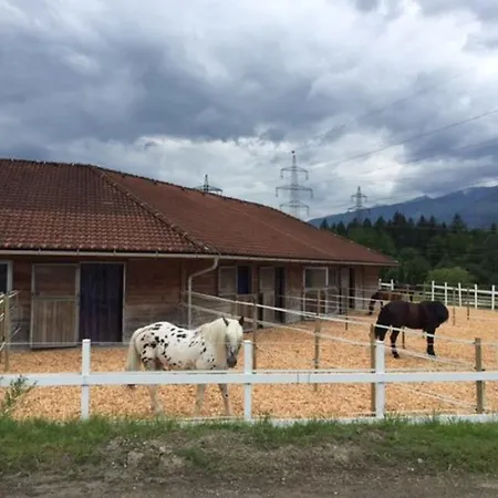 Der Schmittenhof Hotel
