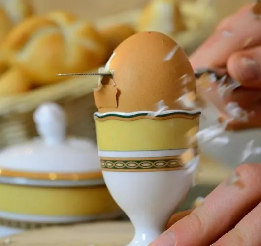 Der Schmittenhof Hotel