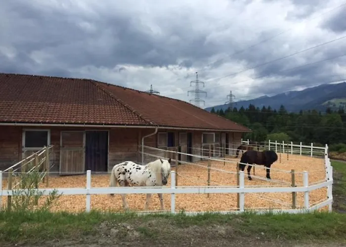 Der Schmittenhof Hotel