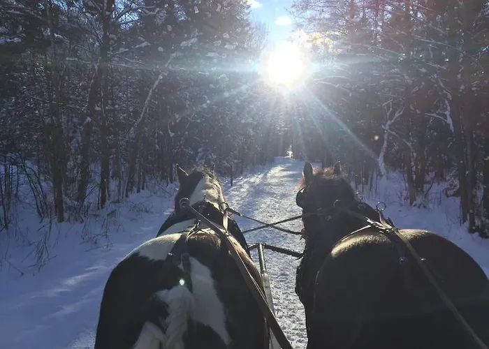 Hotel Der Schmittenhof 4*