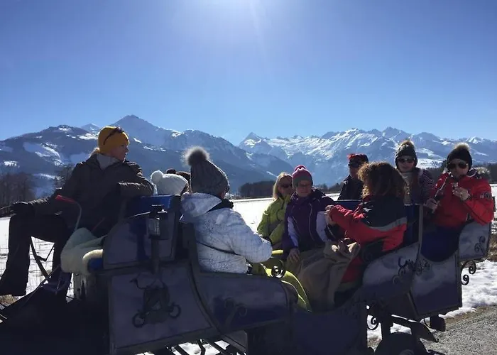 Der Schmittenhof Hotel 4*