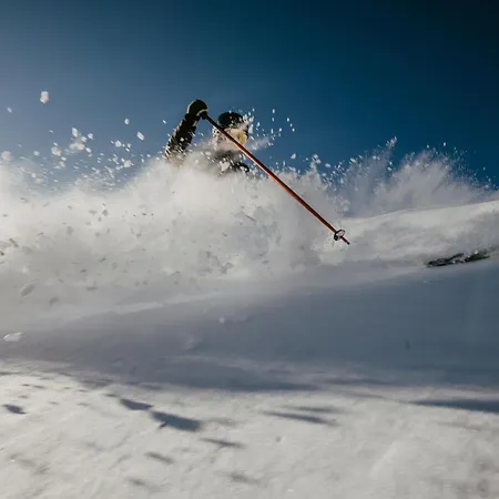 Der Schmittenhof 4* Целль-ам-Зеє