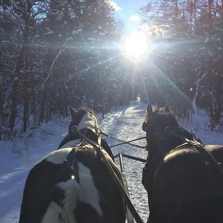 Hotel Der Schmittenhof 4*