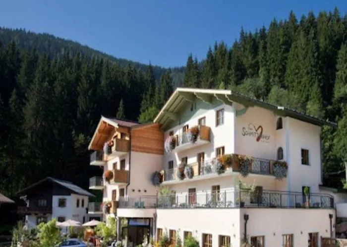 Hotel Der Schmittenhof